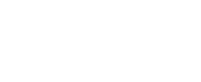 Play Performance logo